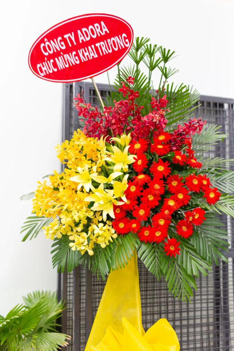 san-choi-van-dong-truong-mam-non-son-ca-4357