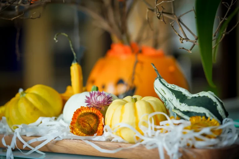 le-hoi-halloween-2023-03420