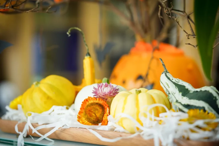 le-hoi-halloween-2023-03461