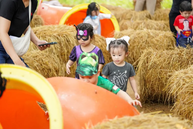 le-hoi-halloween-son-ca-2025-03599