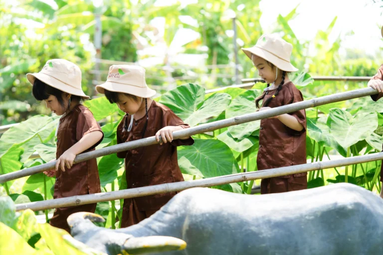 nong-trai-happy-farm-06222