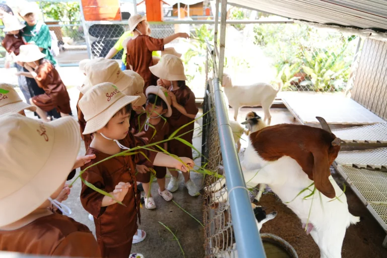 nong-trai-happy-farm-07117