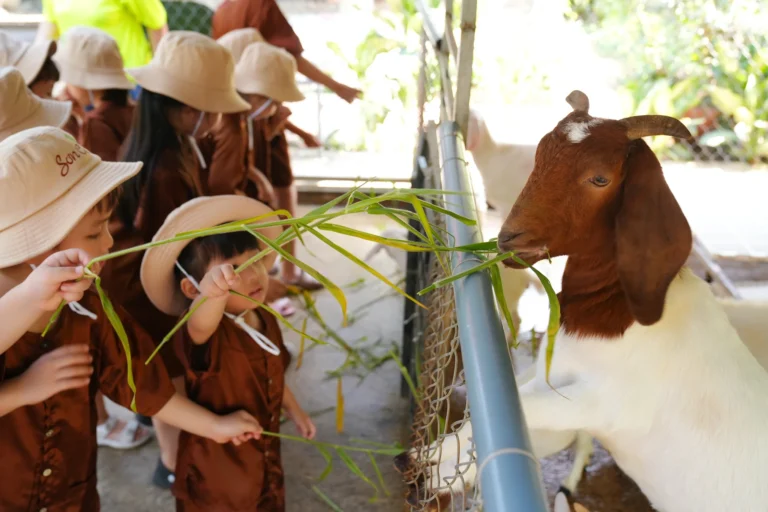 nong-trai-happy-farm-07118