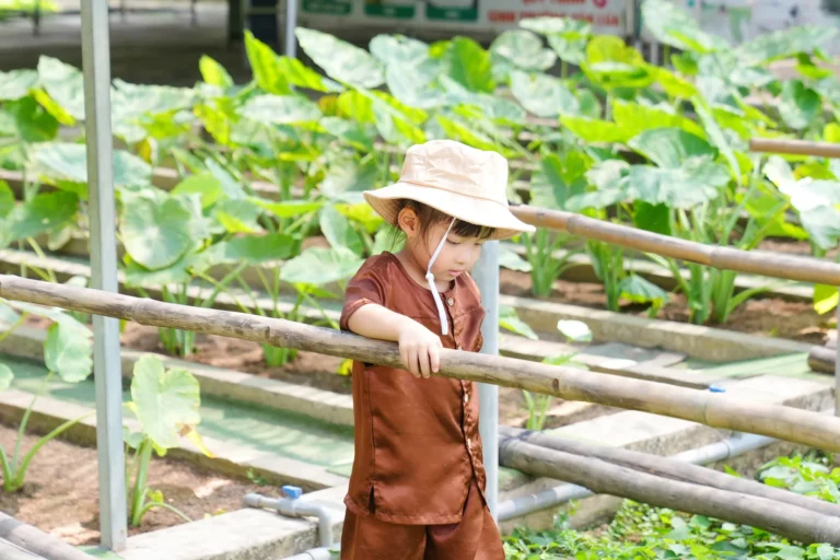 nong-trai-happy-farm-07329