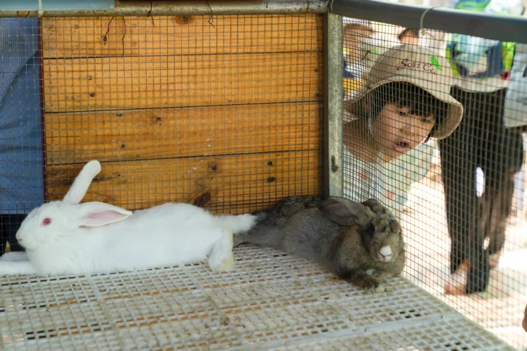 nong-trai-happy-farm-07866