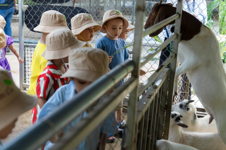 nong-trai-happy-farm-07950