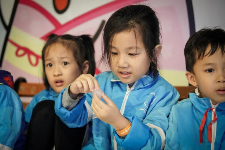 son-ca-08955